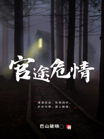 官场危情小说免费阅读全文